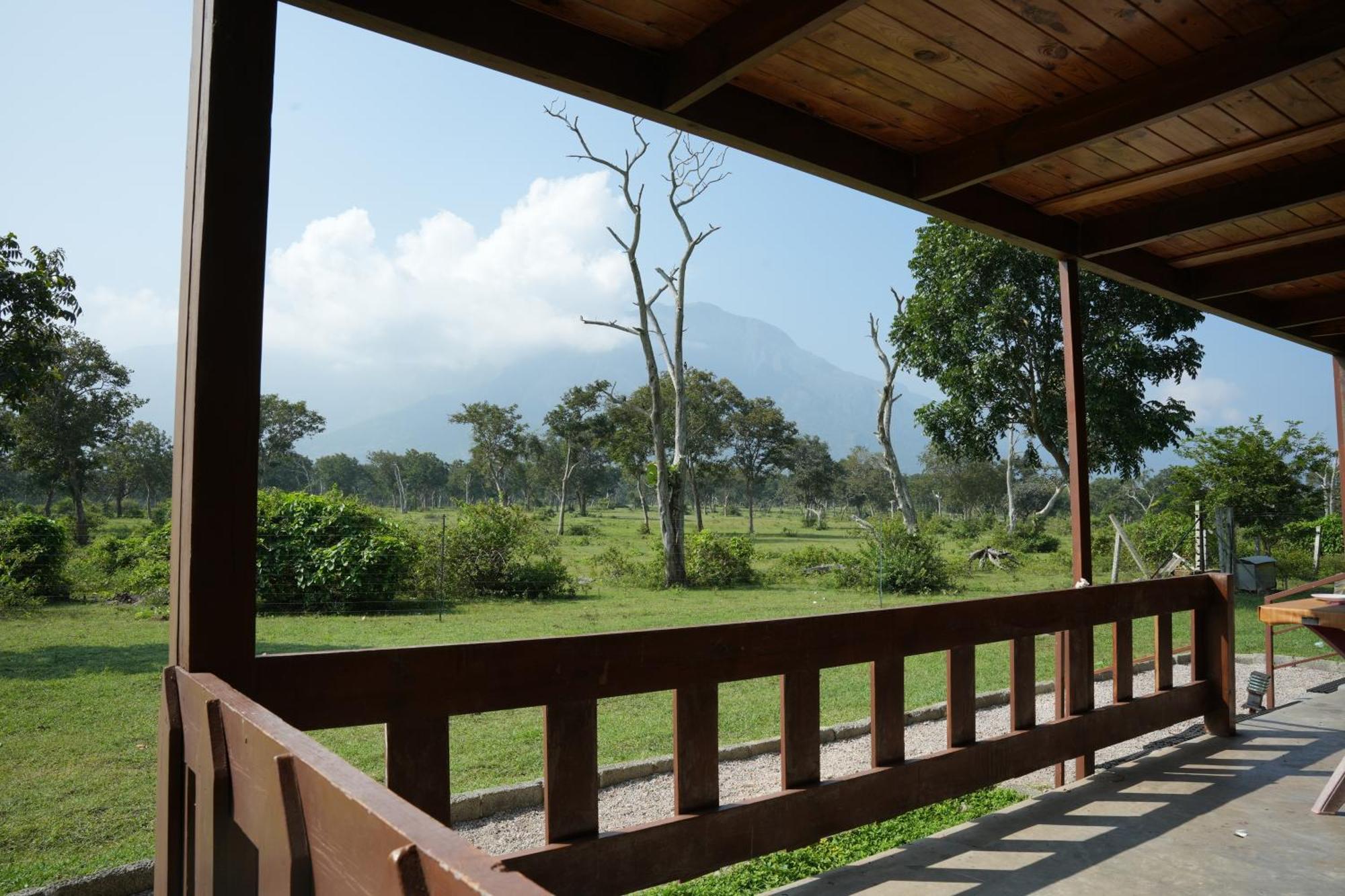 Labdhi Resorts Masinagudi- Stag Groups Not Allowed Ngoại thất bức ảnh