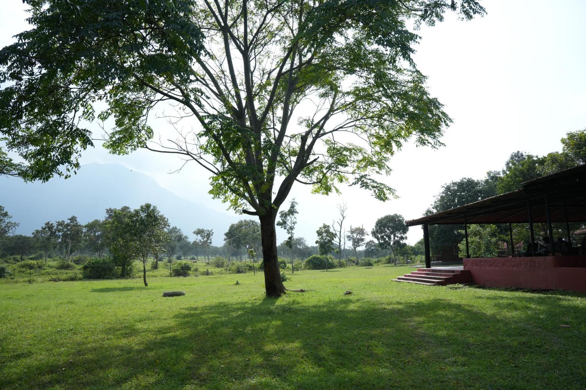 Labdhi Resorts Masinagudi- Stag Groups Not Allowed Ngoại thất bức ảnh